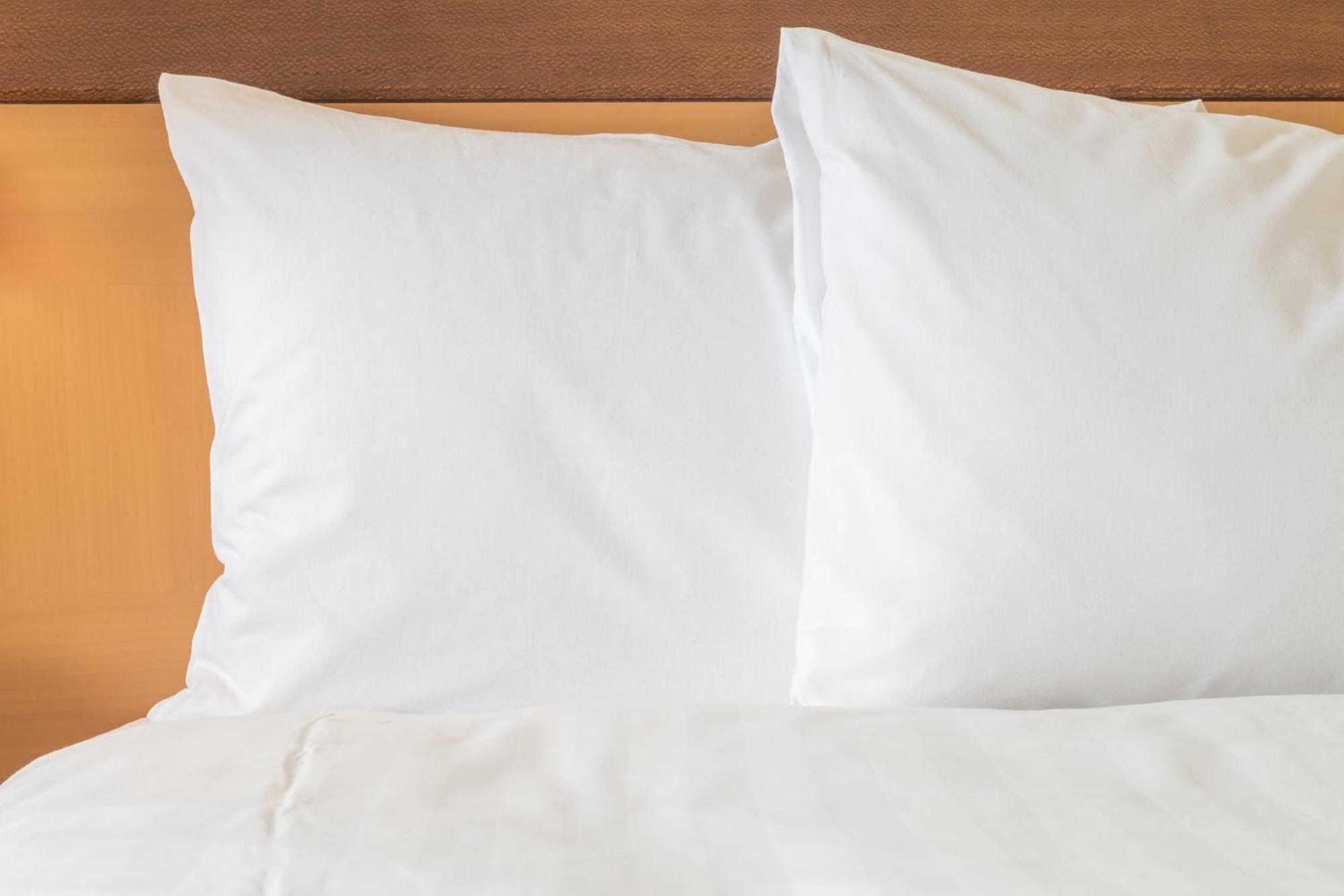 Holiday Inn Express Toledo North By Ihg מראה חיצוני תמונה